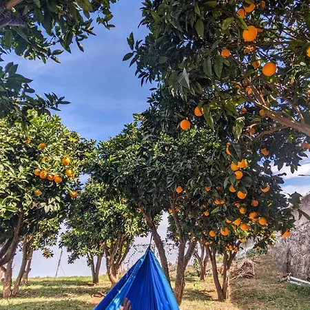 La Bodeguita Byfwtrealestate Semesterbostad Icod De Los Vinos