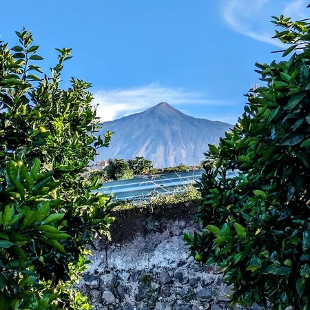 La Bodeguita Byfwtrealestate Semesterbostad