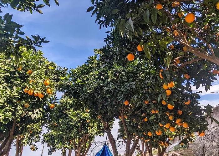 La Bodeguita Byinmoviva7 Vakantiehuis Icod De Los Vinos