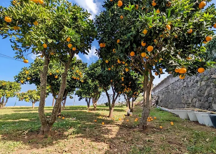 Vakantiehuis La Bodeguita Byinmoviva7