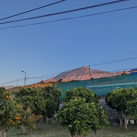 Inmoviva7 Finca La Bodeguita