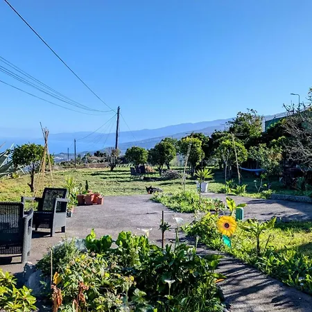 La Bodeguita Byfwtrealestate * إيكود ذي لوس فينوس