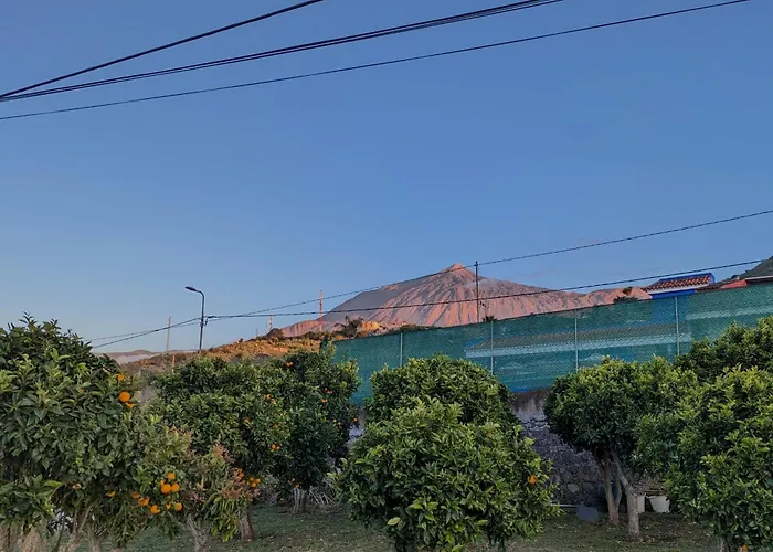 Tatil Evi La Bodeguita Byinmoviva7 *