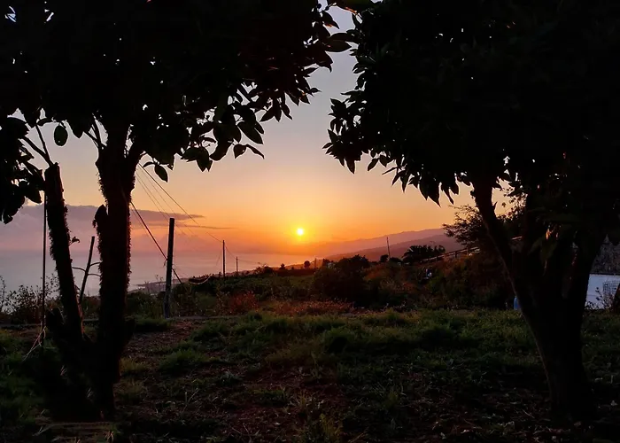 Finca La Bodeguita Byinmoviva7