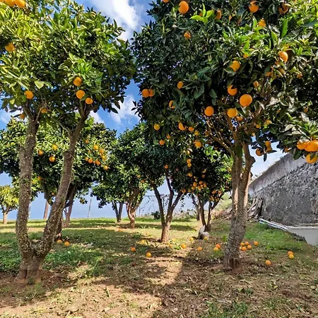 別荘 La Bodeguita Byfwtrealestate